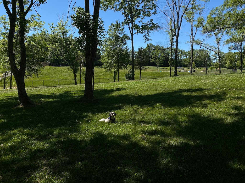 Happy Hounds Playground - Membership Dog Park | 2448 Pond Rd, Grover, MO 63040, USA | Phone: (314) 456-8358