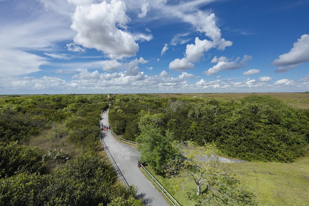 Shark Valley Observation Tower | 36000 Shark Valley Loop Road, Miami, FL 33194, USA | Phone: (305) 221-8776