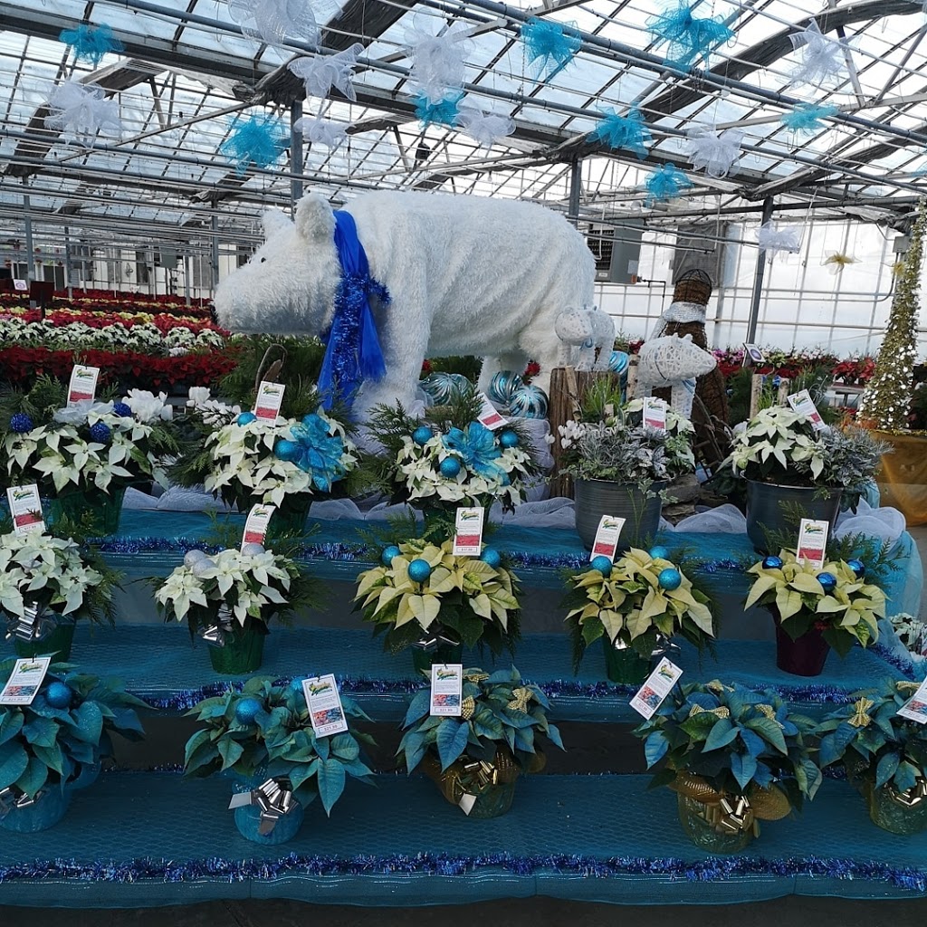 Sunshine Express Garden Centre | 18 Carlton Street East, Niagara-on-the-Lake, ON L0S 1J0, Canada | Phone: (905) 641-0983