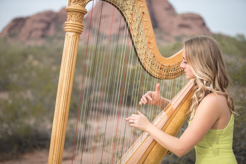 Phoenix Harpist Adrienne Knauer | 11515 N 91st St, Scottsdale, AZ 85260, USA | Phone: (914) 299-9962