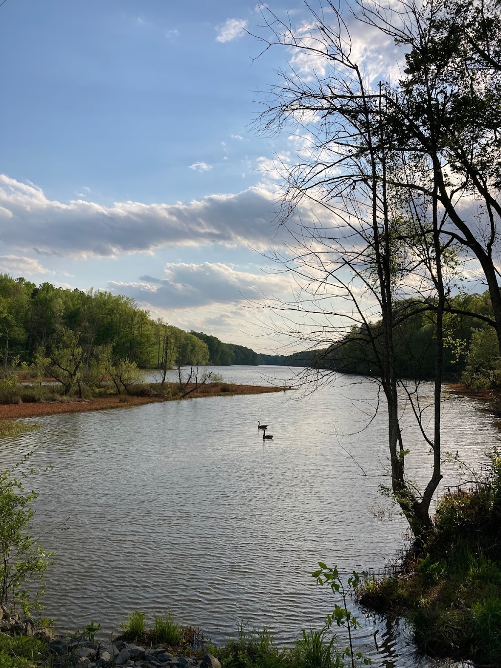 Salem Lake Trail - Linville Parking Area | Linville Rd SE, Winston-Salem, NC 27107, USA | Phone: (336) 650-7677