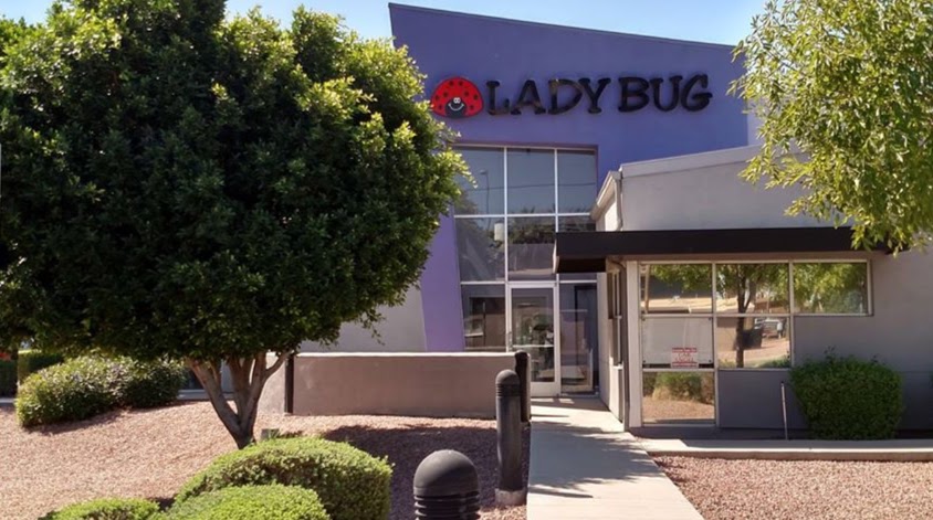 Lady Bug Eco-Friendly Pest Control | 1641 E University Dr, Mesa, AZ 85203, USA | Phone: (480) 833-1111