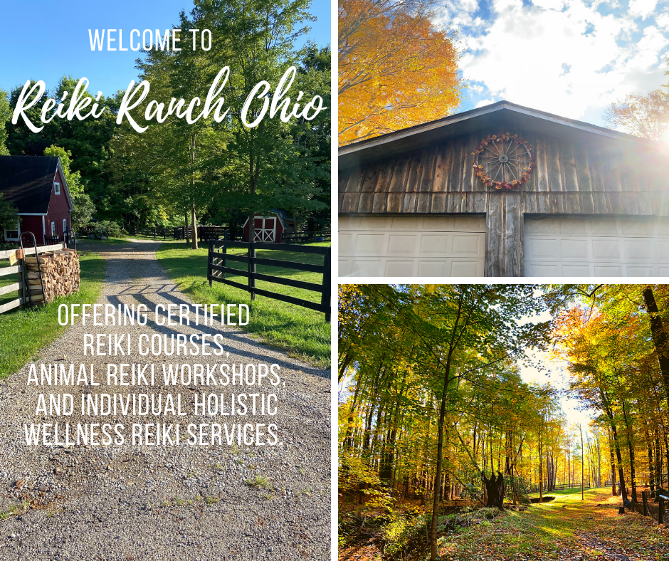 Reiki Ranch Ohio | 8322 OH-305, Garrettsville, OH 44231, USA | Phone: (330) 861-3601