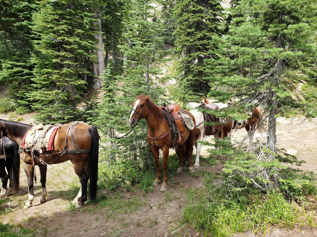 Sawtooth Wilderness Outfitters | 640 Grandjean Rd, Lowman, ID 83637, USA | Phone: (208) 259-3408