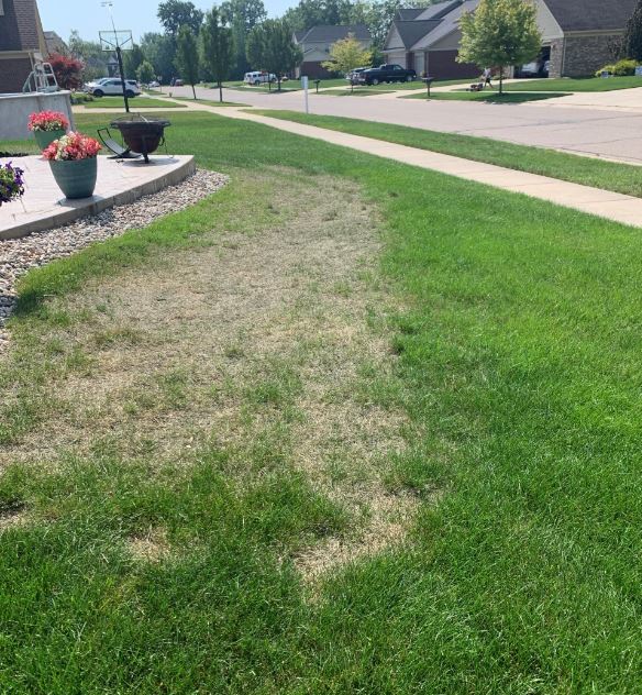 Grosse Ile Lawn Sprinkler & Fertilizing | 1300 Biddle Ave, Wyandotte, MI 48192, USA | Phone: (734) 285-4470