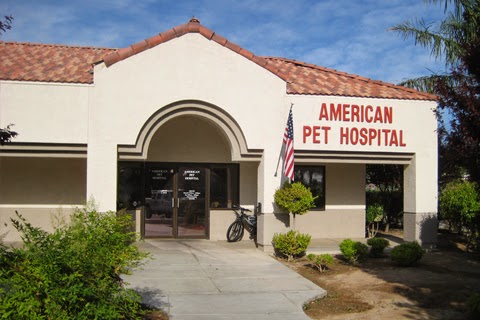 American Pet Hospital | 3879 E Sunset Rd, Las Vegas, NV 89120, USA | Phone: (702) 454-7740