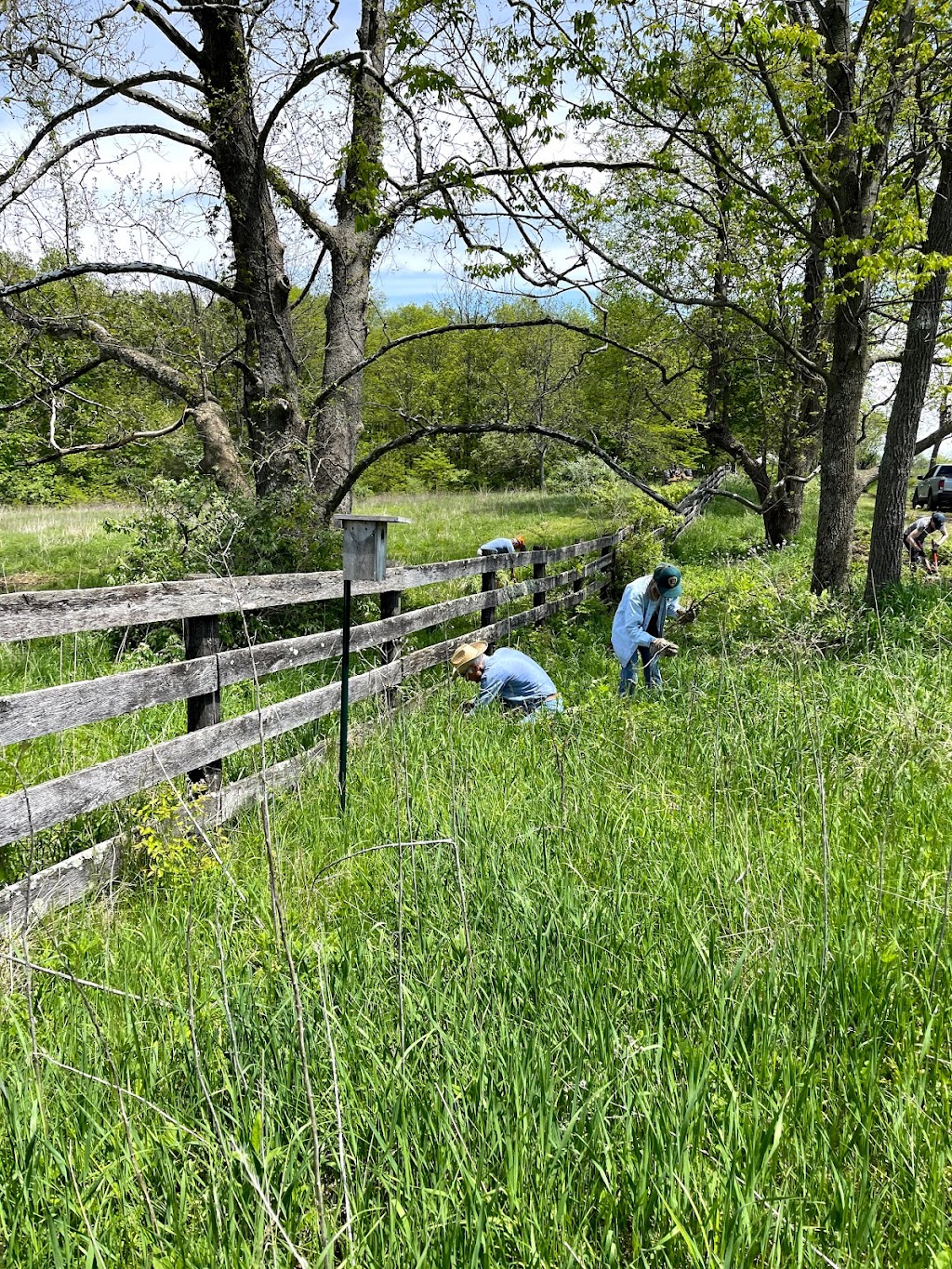 Todd Fork Nature Preserve | 1703 Co Rd 3, Wilmington, OH 45177, USA | Phone: (513) 752-2828