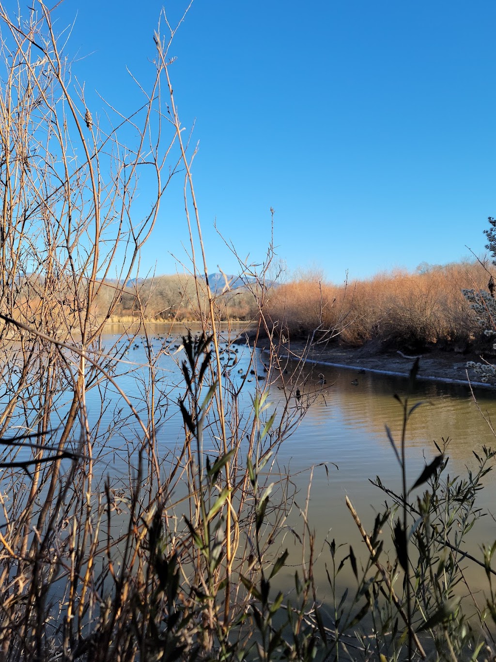 Alameda Open Space | Alameda Blvd NW, Rio Grande Blvd NW, Albuquerque, NM 87104, USA | Phone: (505) 468-7000