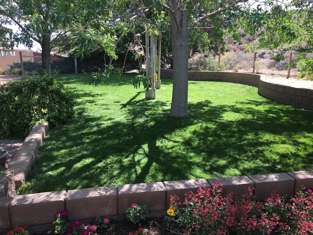 Lawn Doctor of Albuquerque | 5224 2nd St NW Ste A, Albuquerque, NM 87107, USA | Phone: (505) 884-4433