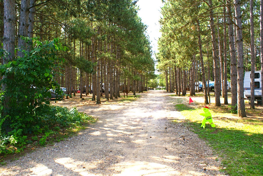 Dell Pines Campground | E10562 Shady Lane Rd, Baraboo, WI 53913, USA | Phone: (608) 356-5898