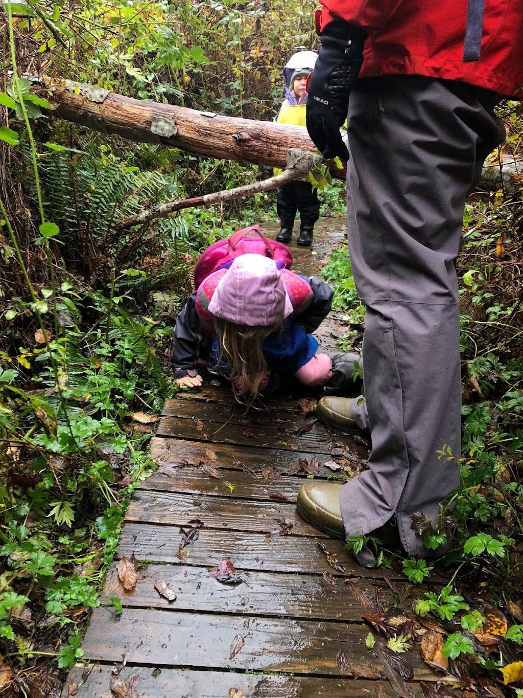 Tiny Treks NW Outdoor School | 8708 196th Ave NE, Redmond, WA 98053, USA | Phone: (425) 503-6953