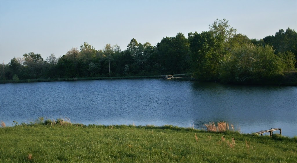 SEVEN SPRINGS FISH FARM & LAKE MANAGEMENT | 7044 Schuline Rd, Evansville, IL 62242, USA | Phone: (618) 201-7686