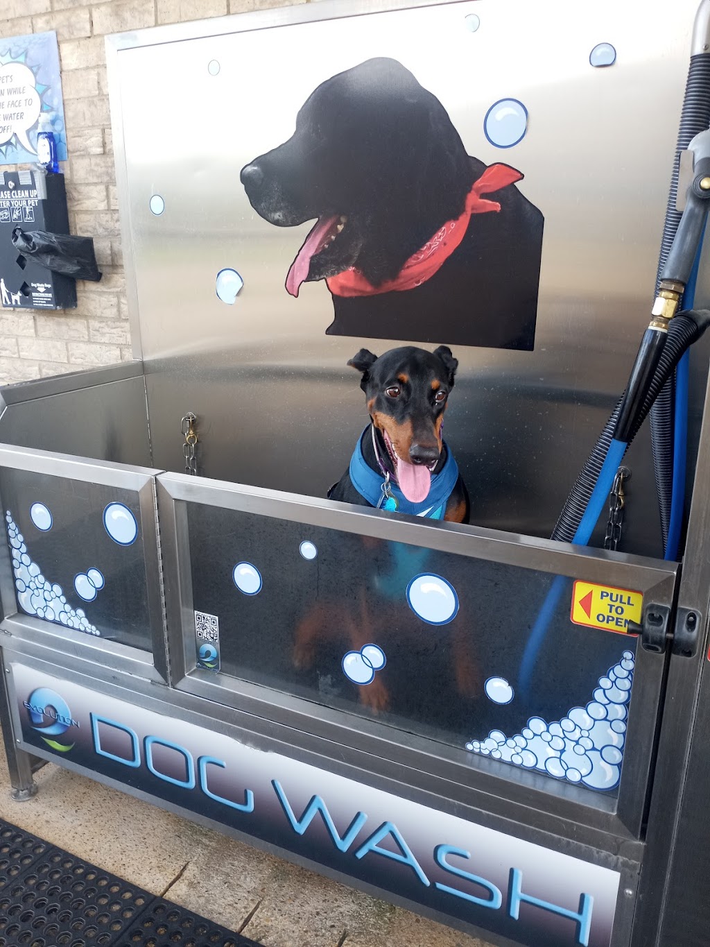 Dollys Dog Wash | Alvin, TX 77511, USA | Phone: (224) 515-0508