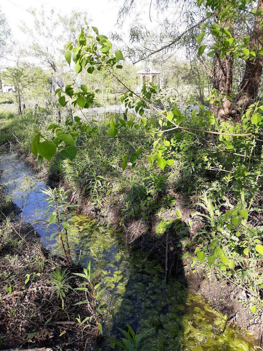 Sankofa Wetland Park and Nature Trail | 6401 Florida Ave, New Orleans, LA 70117, USA | Phone: (504) 872-9214