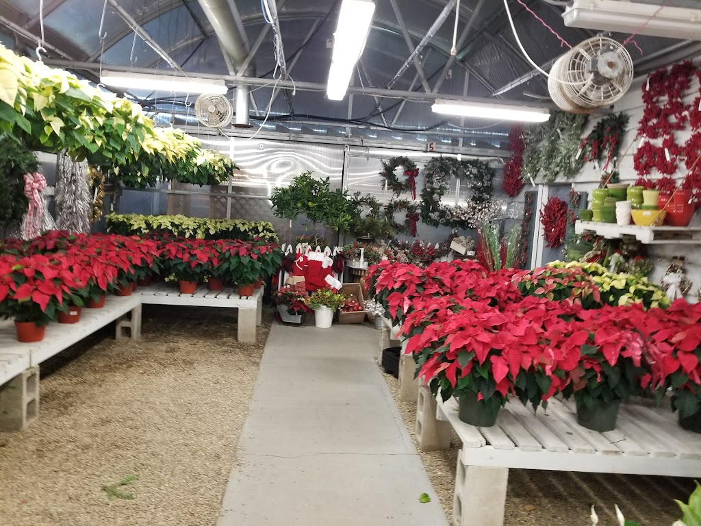 McCue Garden Center | 200 Cambridge Rd, Woburn, MA 01801, USA | Phone: (781) 933-1385