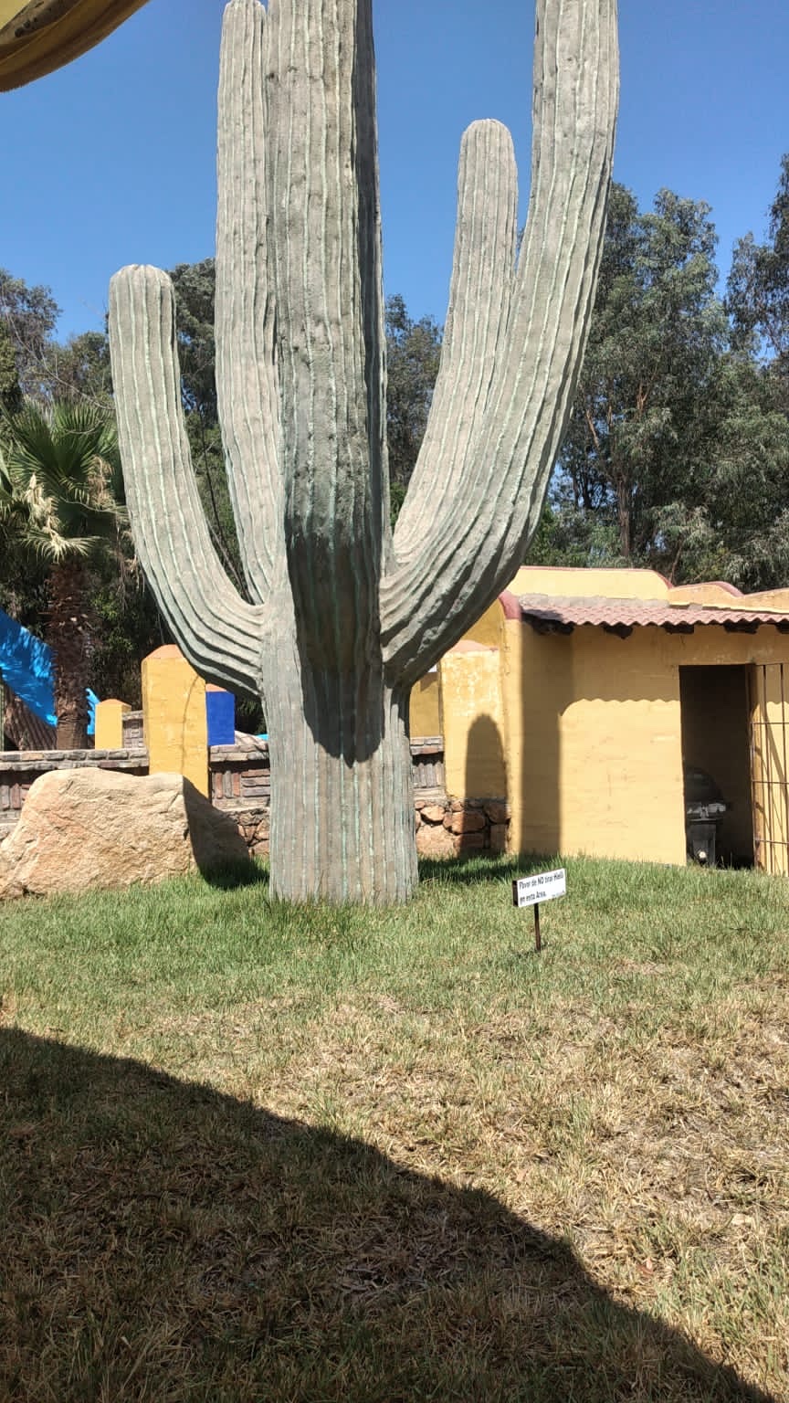 Los Cactus | Carretera Tecate-Tijuana Km 8, 21503 Tecate, B.C., Mexico | Phone: 665 654 0562