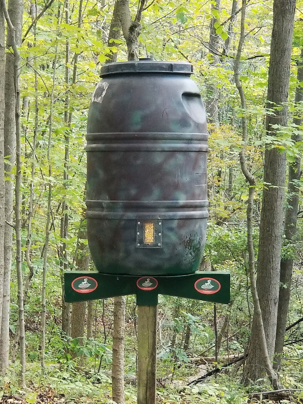 Broadside Deer Feeder | 10010 N Girdle Rd, Middlefield, OH 44062, USA | Phone: (330) 720-3679