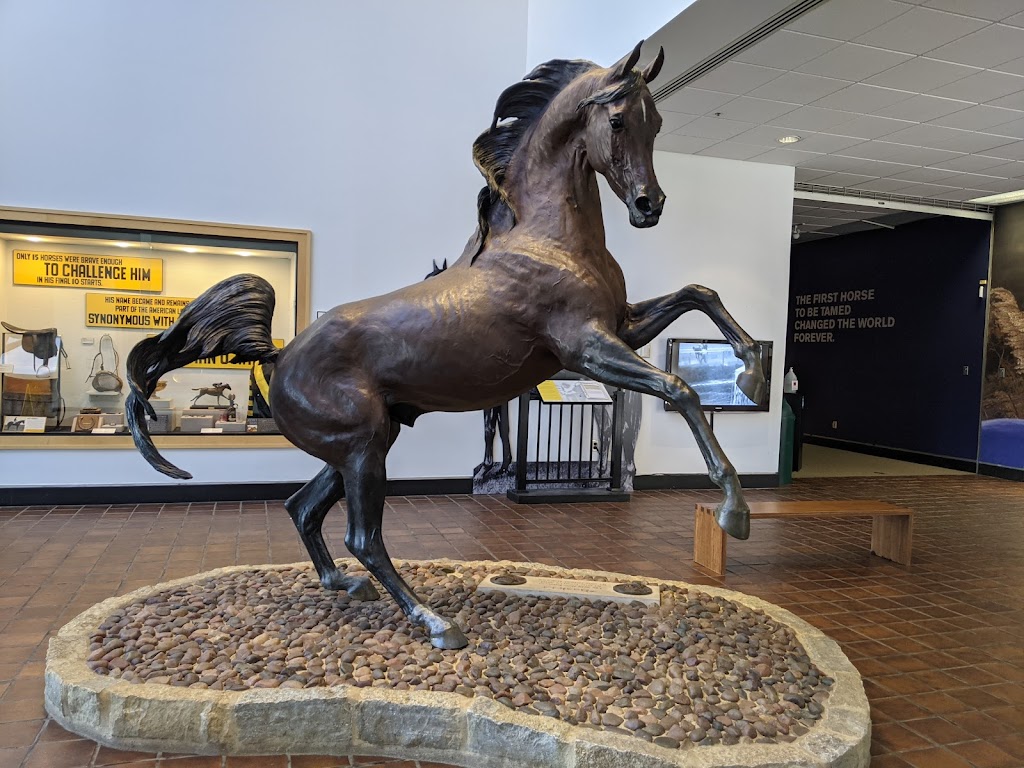 International Museum of the Horse | 4089 Iron Works Pkwy, Lexington, KY 40511, USA | Phone: (859) 259-4232