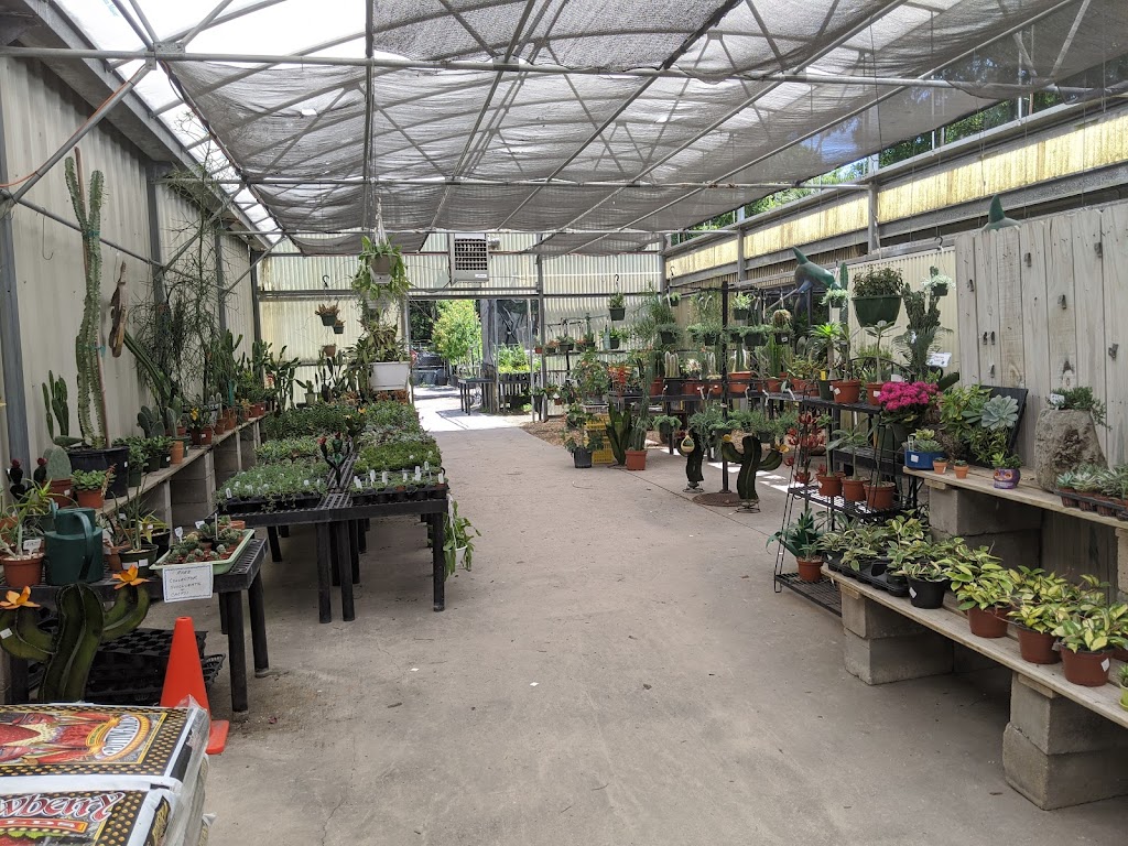 Plant Ranch Nursery | 14108 Beach Blvd, Jacksonville, FL 32250 | Phone: (904) 223-4546