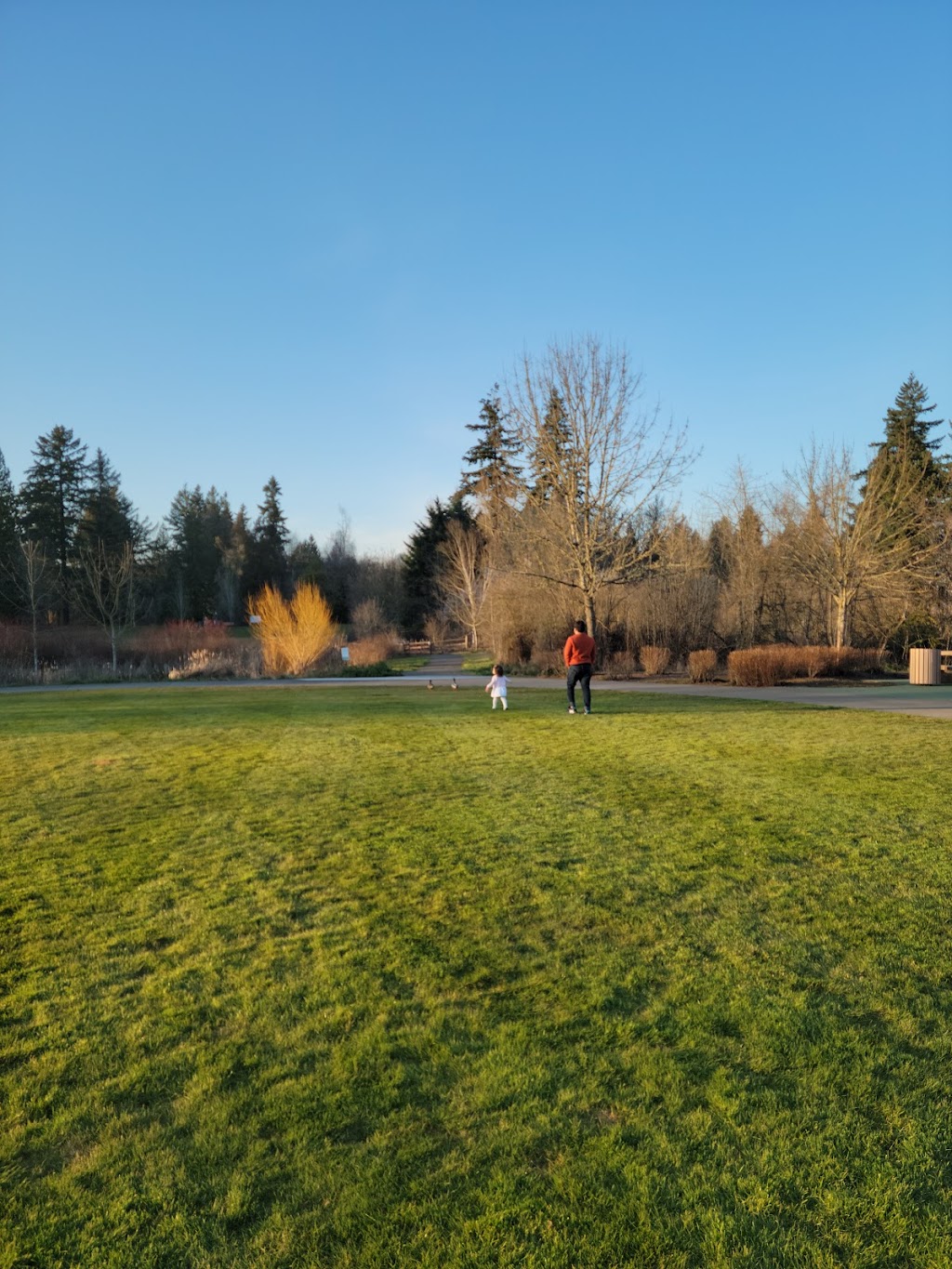 Jurgens Park | 17255 SW Jurgens Ave, Tualatin, OR 97062, USA | Phone: (503) 691-3061