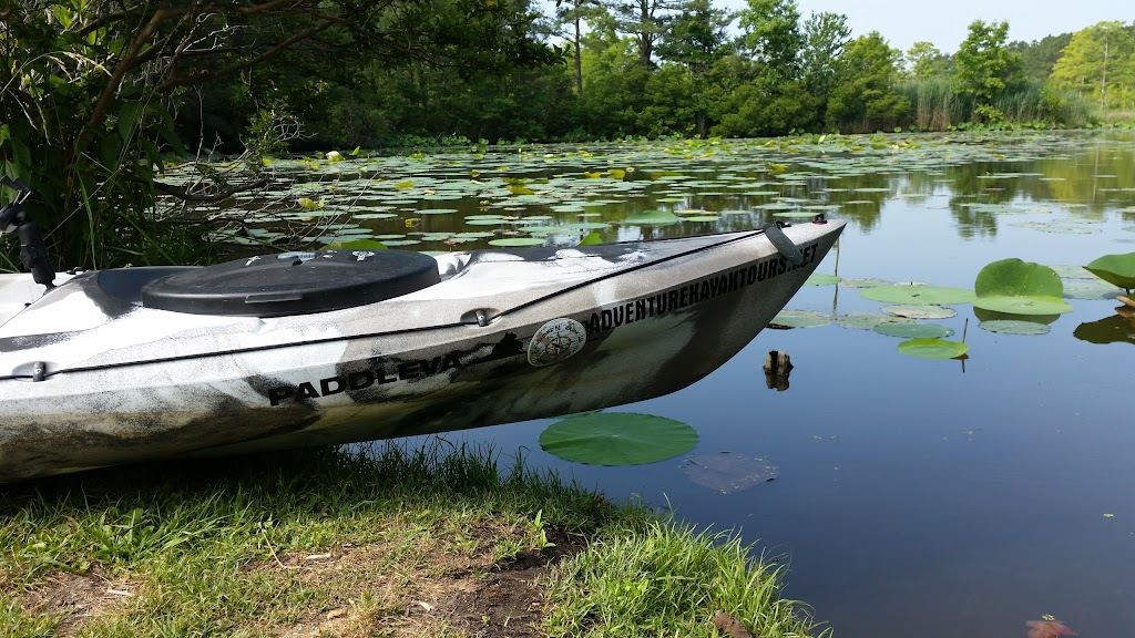 Adventure Kayak & SUP | 4243 S Battlefield Blvd, Chesapeake, VA 23322, USA | Phone: (757) 237-8776