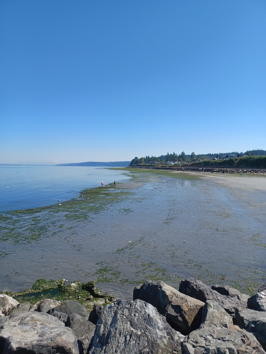 Bracketts Landing North | Bracketts Landing Shoreline Sanctuary Conservation Area, 50 Railroad Ave, Edmonds, WA 98020, USA | Phone: (425) 771-0230