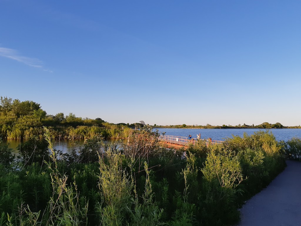 Tommy Thompson Park Nature Centre | 475 Unwin Ave, Toronto, ON M4M 3M2, Canada | Phone: (416) 990-8058