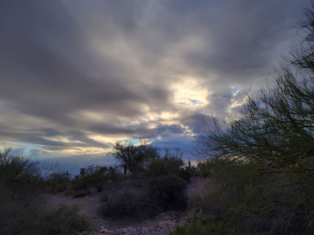 Sarasota Trailhead | 2737 S Sarasota Blvd, Tucson, AZ 85713, USA | Phone: (520) 877-6000