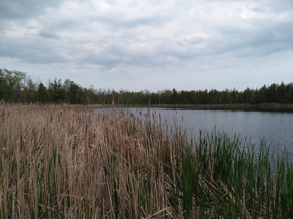 Cedarburg Bog State Natural Area | WI-33, Saukville, WI 53080, USA | Phone: (262) 675-6844