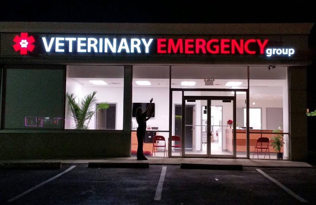 Veterinary Emergency Group | 123 NY-59, Nanuet, NY 10954, USA | Phone: (845) 536-5645