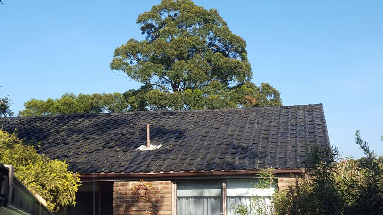 Able Roof Restoration | 38 William St, Ermington NSW 2115, Australia | Phone: 0475 000 555