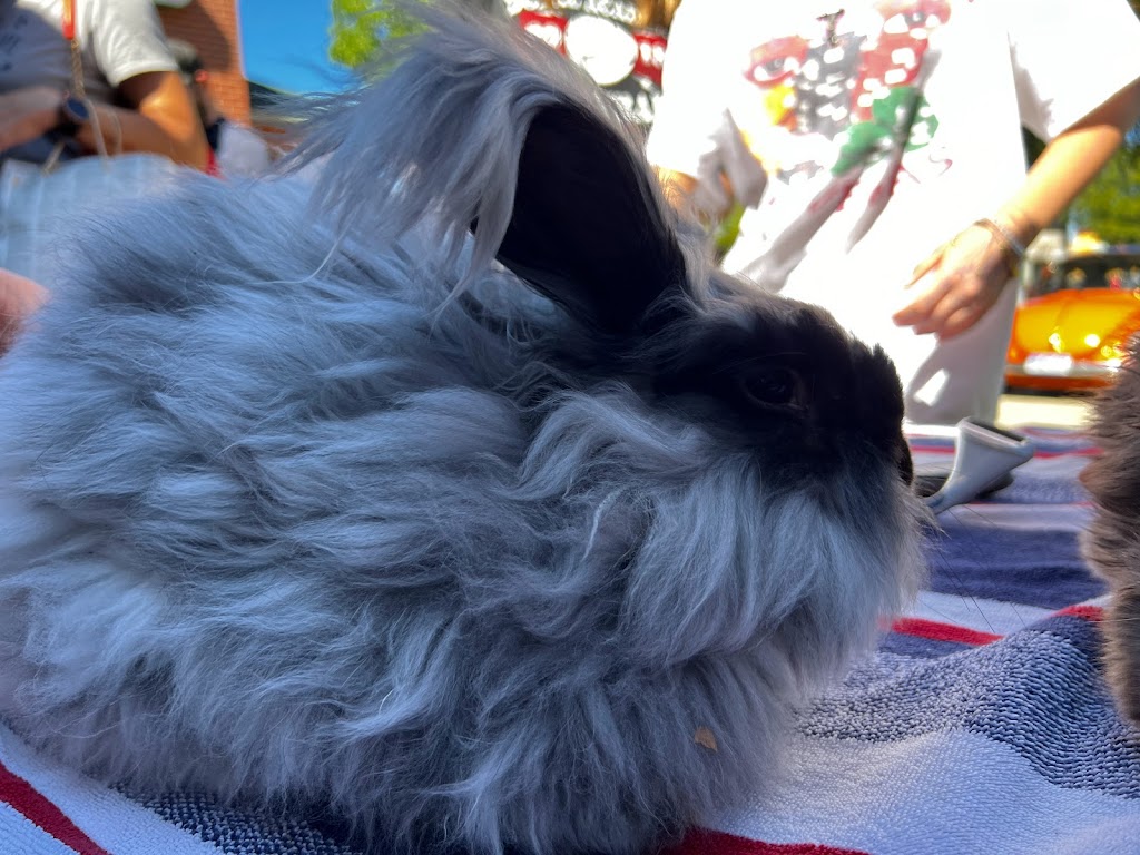 Maverick Fiber Arts | 2770 Dagny Way # 108, Lafayette, CO 80026, USA | Phone: (303) 665-5591