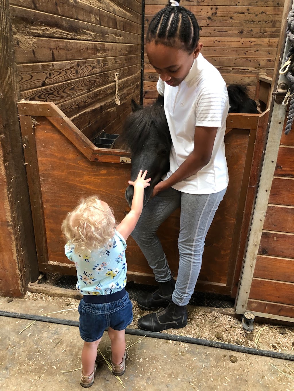 BakerHill Stables | 13750 W Bruns Rd, Manhattan, IL 60442, USA | Phone: (815) 277-9441