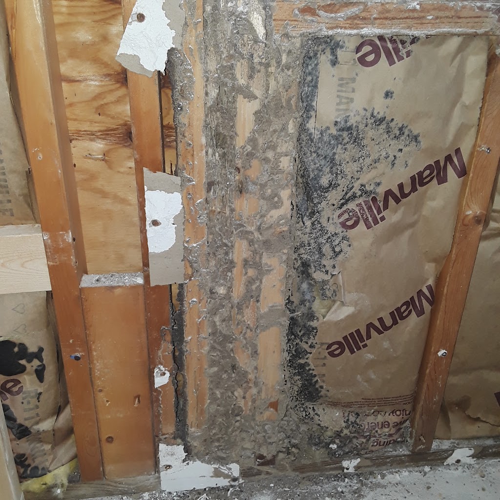 All American Pest Services | 6508 13th Ave E, Bradenton, FL 34208, USA | Phone: (941) 202-9270