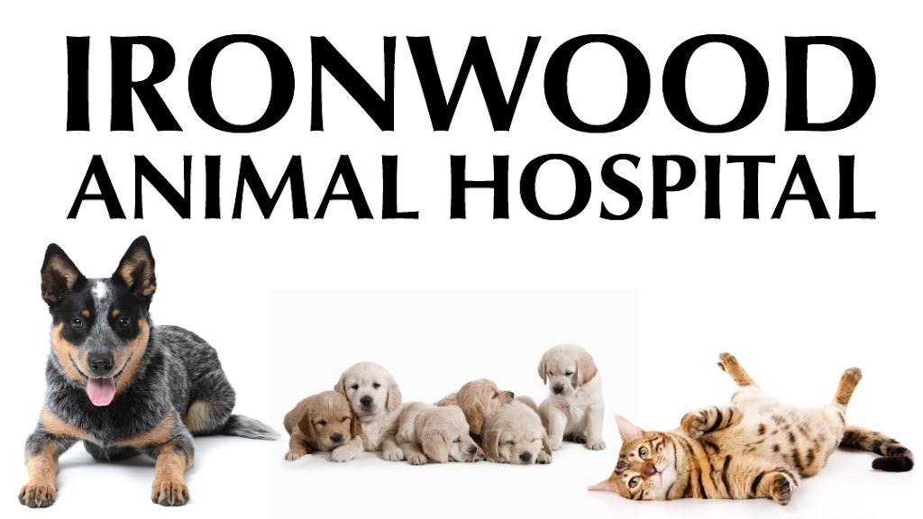 Ironwood Animal Hospital | 85 W Combs Rd #116, San Tan Valley, AZ 85140, USA | Phone: (480) 888-2299