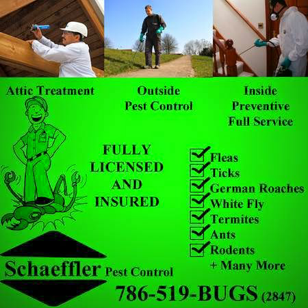 AAA Schaeffler Pest Control | 9310 W Flagler St #119, Miami, FL 33174, USA | Phone: (786) 519-2847
