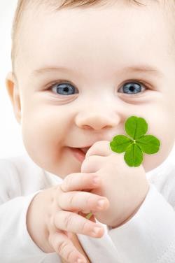 Luck Be A Baby | 1764 SW Phyllis Ave, Gresham, OR 97080, USA | Phone: (206) 941-2108