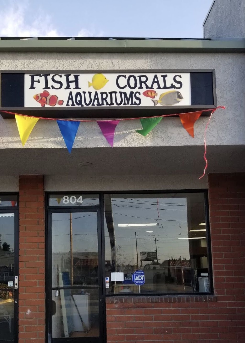 Exotic Fish & Corals | 804 E Lincoln Ave, Orange, CA 92865, USA | Phone: (714) 771-2073