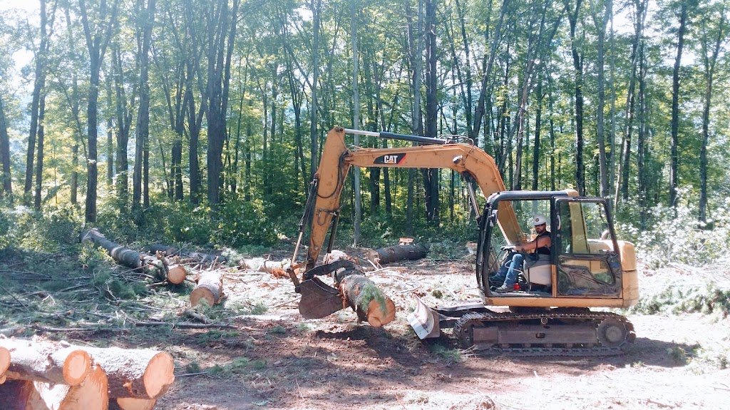 Timberwolf Tree Service | 111 Beard Rd, Delanson, NY 12053, USA | Phone: (845) 443-5582