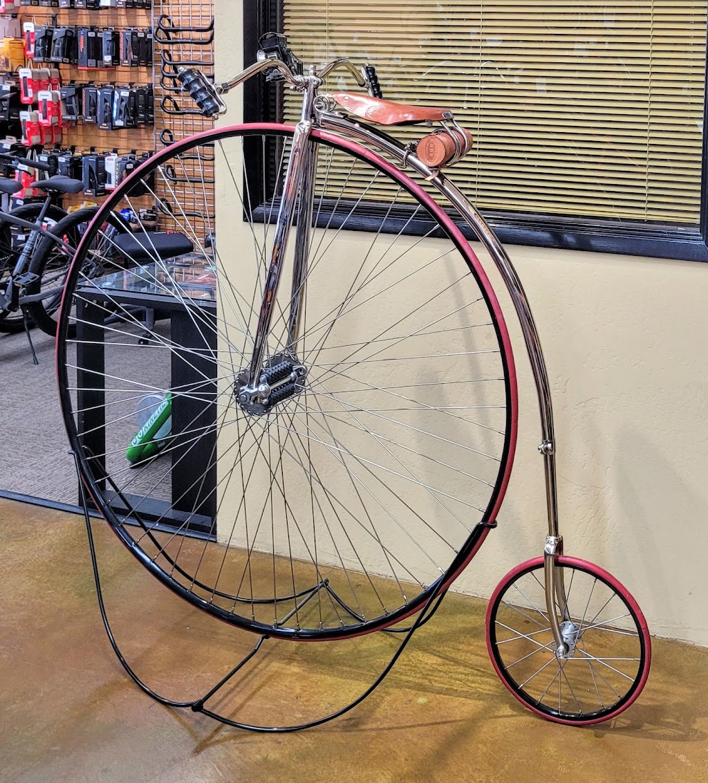 Landis Cyclery | 2180 E Southern Ave, Tempe, AZ 85282, USA | Phone: (480) 839-9383