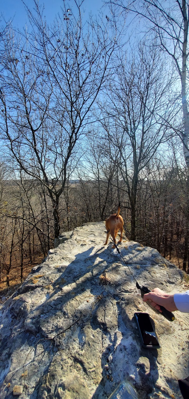 Chimney Rock Scientific and Natural Area (SNA) | Joan Ave, Hastings, MN 55033, USA | Phone: (651) 259-5800