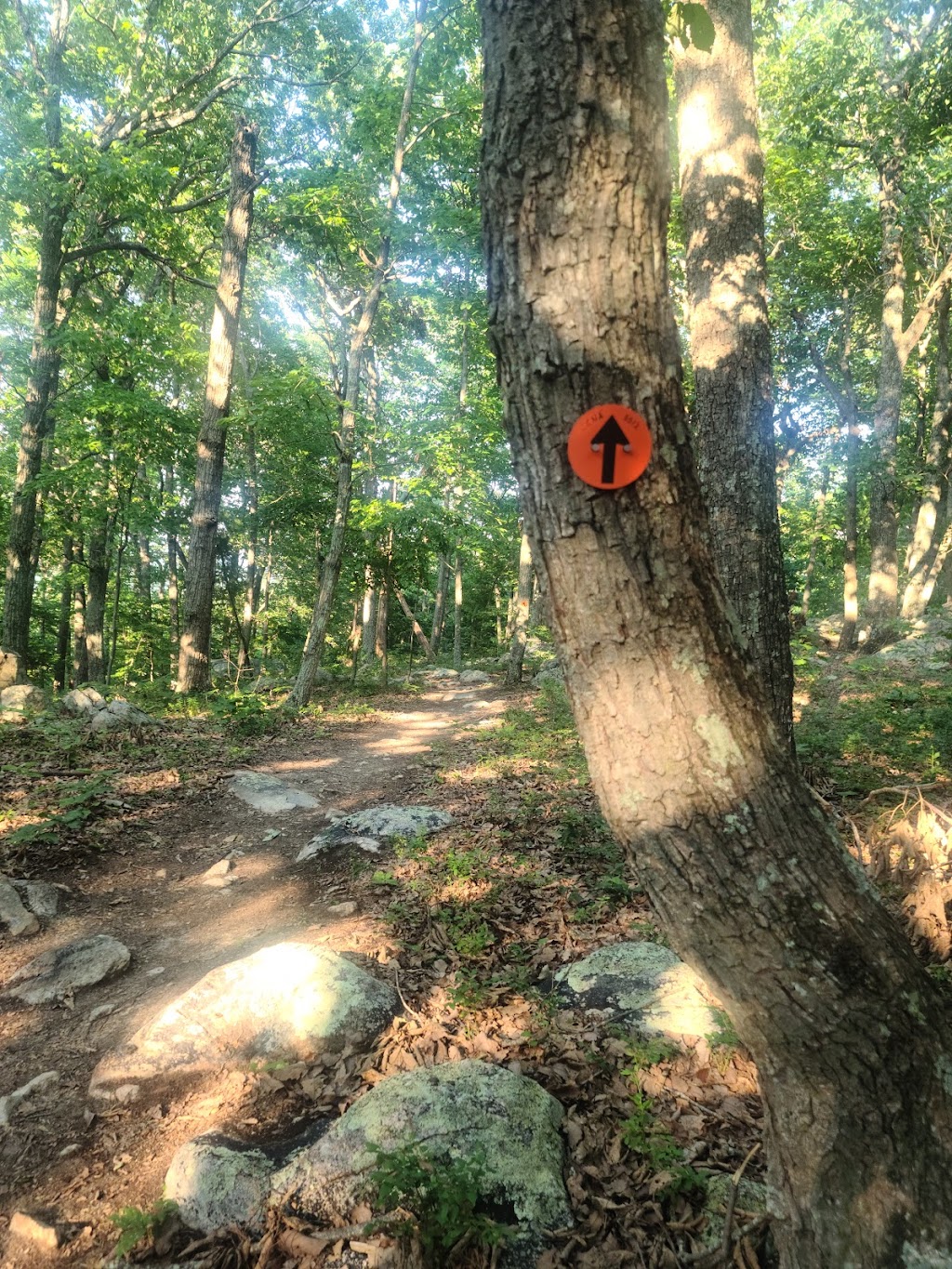 Cane Creek Mountains Natural Area - Pine Hill Trailhead | 5075 Bass Mountain Rd, Snow Camp, NC 27349, USA | Phone: (336) 229-2410