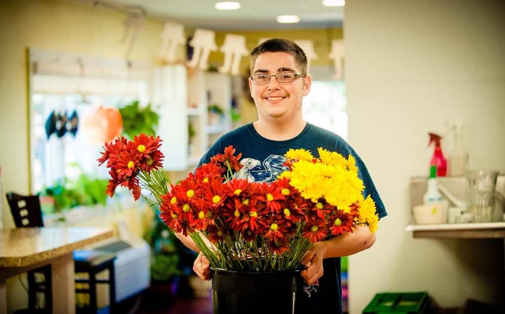 Yellow Daffodil Flower, Candles and Gift Shop | 194 N Pine St, Langhorne, PA 19047, USA | Phone: (215) 750-4159