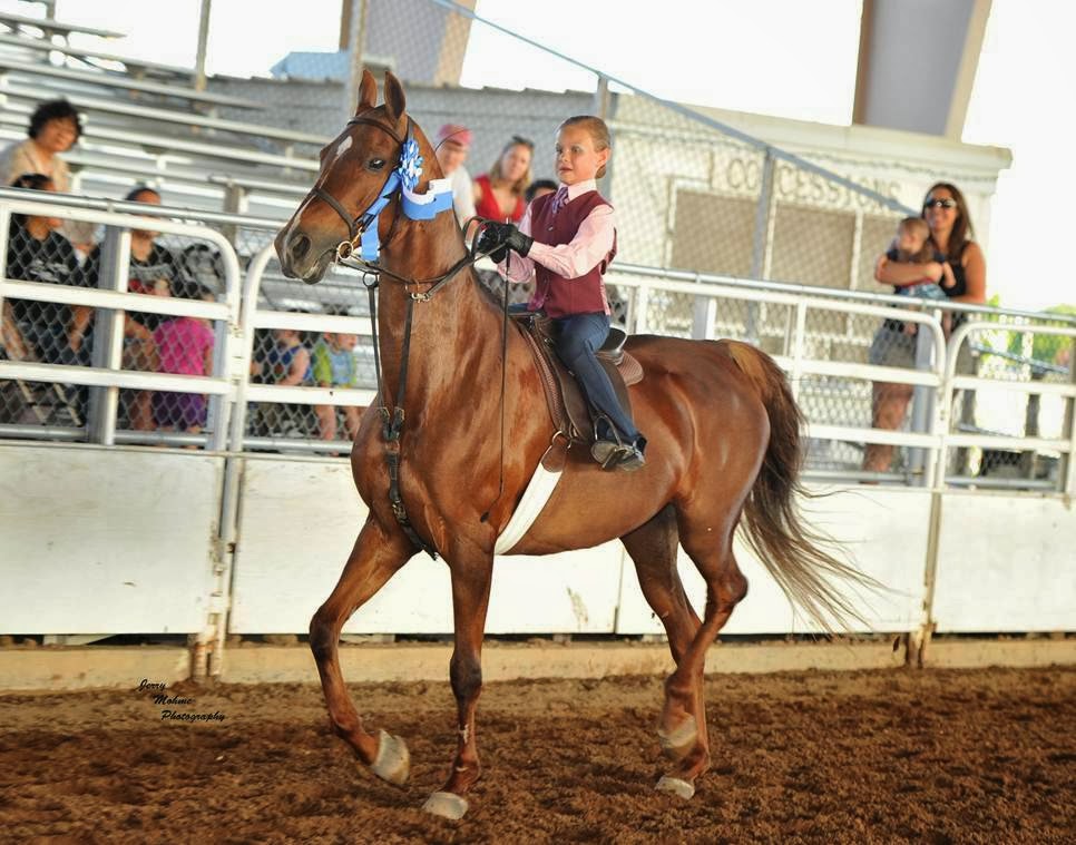 Paul cates stables | 2900 Gattis School Rd, Round Rock, TX 78664, USA | Phone: (512) 565-3886