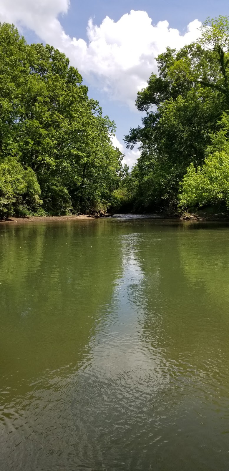 Harpeth River State Park - Highway 100 Canoe Access | 7701 TN-100, Nashville, TN 37221, USA | Phone: (615) 952-2099