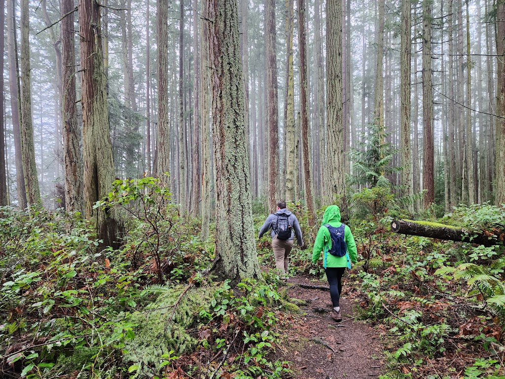 Camano Island State Park | 2269 Lowell Point Rd, Camano, WA 98282, USA | Phone: (360) 387-3031