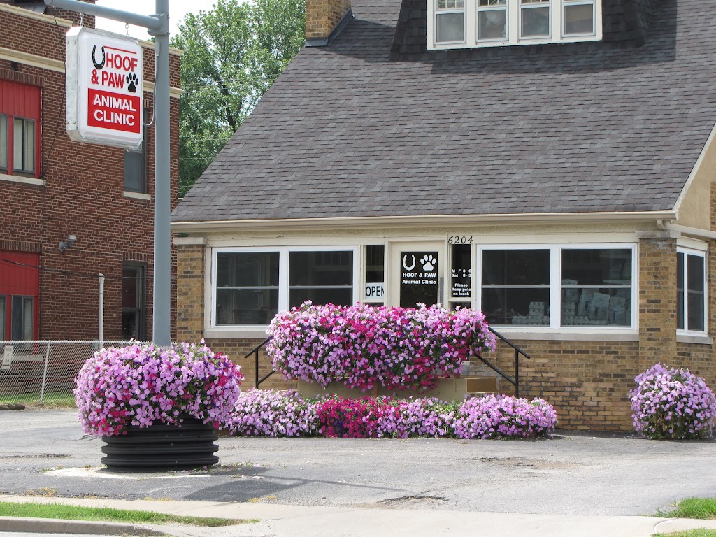 Hoof & Paw Animal Clinic | 6204 W Main St, Belleville, IL 62223, USA | Phone: (618) 233-2800