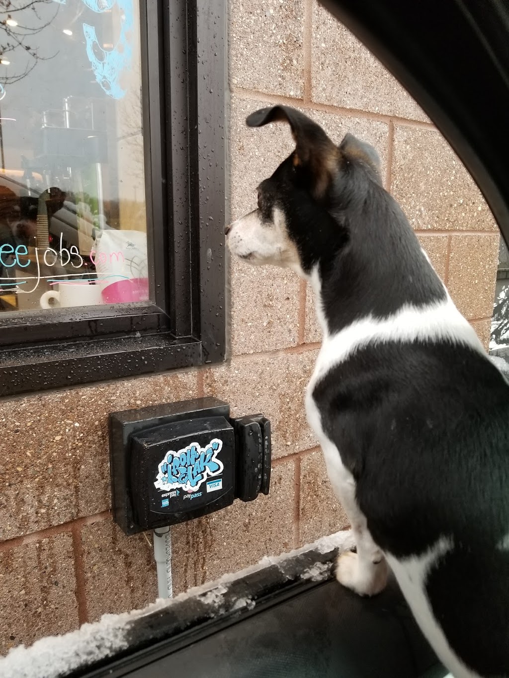 Caribou Coffee | 1004 Gateway Dr, Chaska, MN 55318, USA | Phone: (952) 361-0035