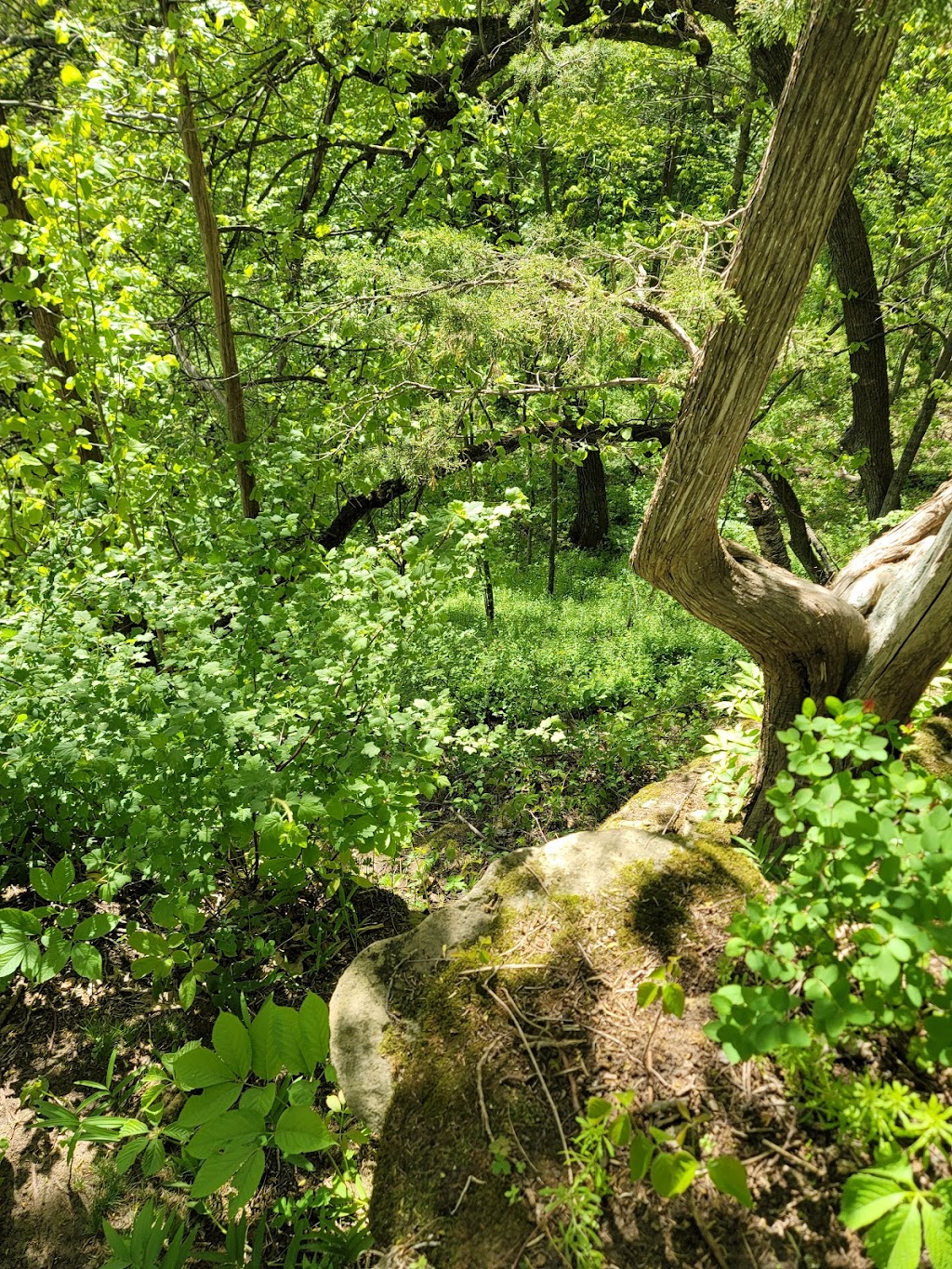 Natural Bridge & Rockshelter State Natural Area | Orchard Rd, North Freedom, WI 53951, USA | Phone: (888) 936-7463