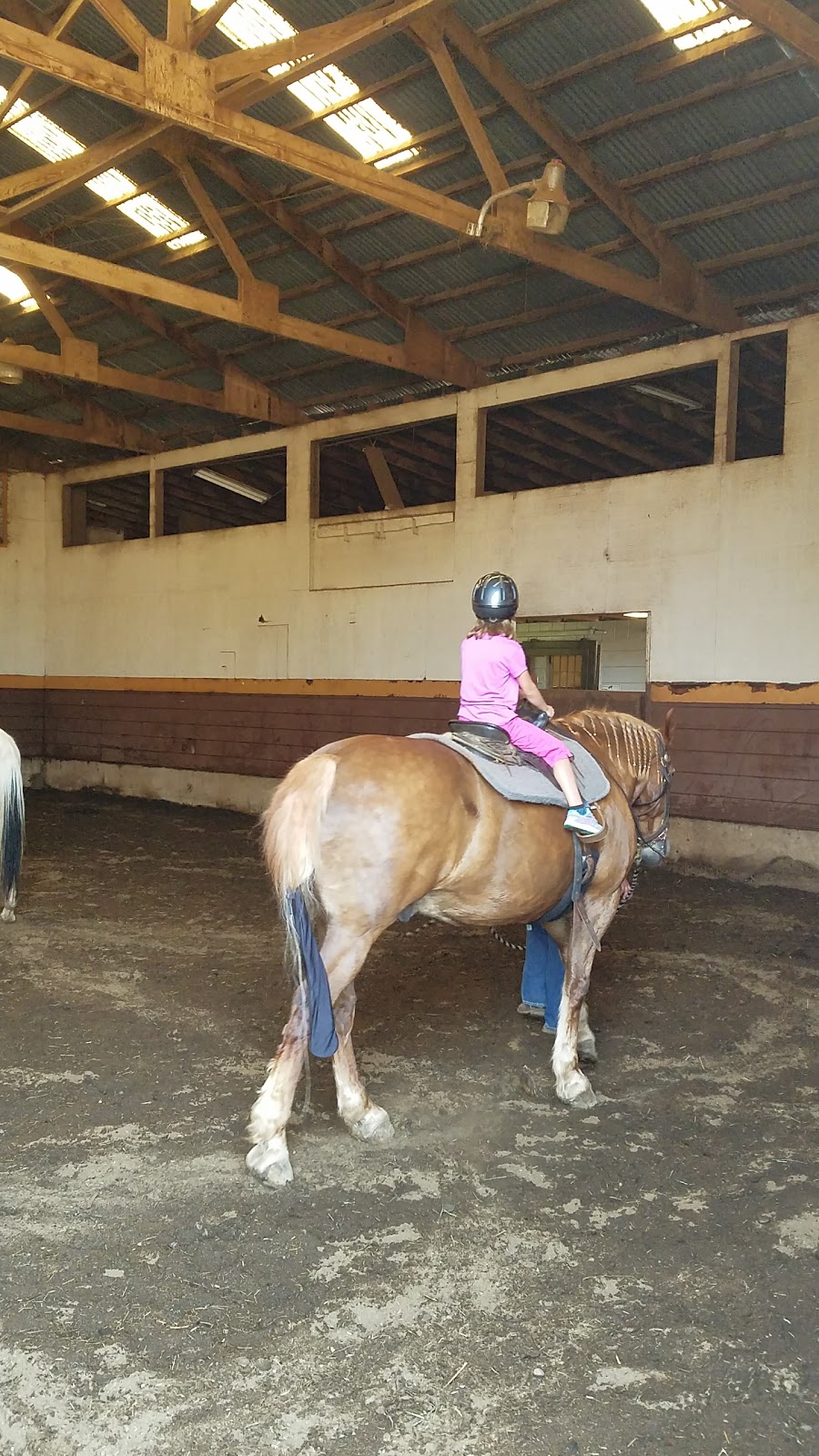 Stoneridge Equestrians | 24246 164th Ave SE, Kent, WA 98042, USA | Phone: (206) 313-4760